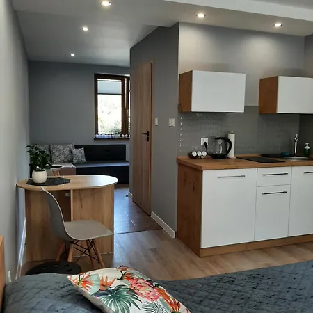 Na 6a Guest house Wisla