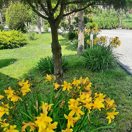 Na 6a Wisla