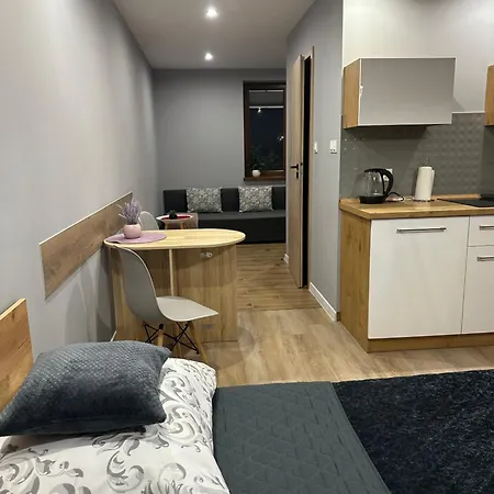 Na 6a Guest house Wisla