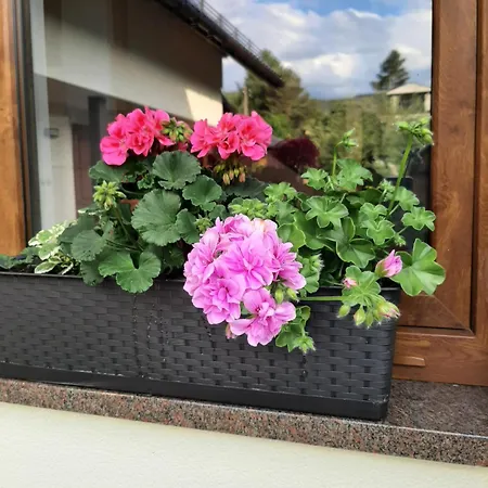 ゲストハウス Na 6a