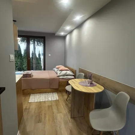 Na 6a Pensión Wisła